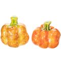 Floristik24 Decoratieve pompoenen voor herfsttafeldecoratie, 6 cm, 2 stuks