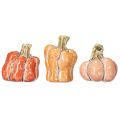 Floristik24 Pompoenenset: Kleine decoratieve pompoenen voor herfstdecoratie, 5 cm, 3 stuks