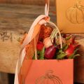 Pompoenenset: Kleine decoratieve pompoenen voor herfstdecoratie, 5 cm, 3 stuks | Floristik24.nl