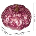 Mini pompoen decoratieset, herfst- en Halloweenversieringen, diverse kleuren, 4 cm, 24 stuks | Floristik24.nl