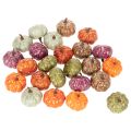 Mini pompoen decoratieset, herfst- en Halloweenversieringen, diverse kleuren, 4 cm, 24 stuks | Floristik24.nl