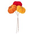 Decoratieve pompoen op draad,