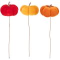 Decoratieve pompoen op draad,