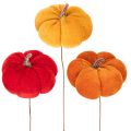 Decoratieve pompoen op draad,