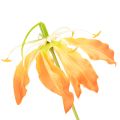 Kunstmatige Gloriosa oranje bloem met lange stelen voor vazen 80cm 3 stuks | Floristik24.nl