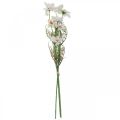 Floristik24 Kunstbloemen Cosmea witte zijden bloemen H51cm 3st