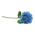 Floristik24 Kunstbloemen decoratie hortensia kunst blauw 69cm