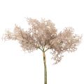 Kunstbloemen decoratie, koraaltak, decoratieve takken wit bruin 40cm 4st
