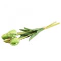 Floristik24 Kunstbloemen tulp groen, lentebloem 48cm bundel van 5