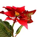 Floristik24 Kunstbloemen poinsettia rood L73cm