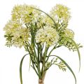 Floristik24 Kunstbloemen wit allium decoratie sieruien 34cm 3st in bos