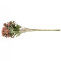 Floristik24 Kunstplanten saffloer distel tak distel roze 4st