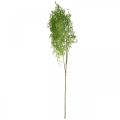 Kunst voorjaar aspergeplant siertakbinding groen H108cm