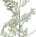 Floristik24 Kunstplanten bladzilver wit-groen 40cm 6st