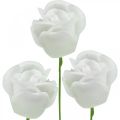 Floristik24 Kunstrozen crème wax rozen decoratieve rozen wax Ø6cm 18 st