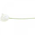 Kunstrozen crème wax rozen decoratieve rozen wax Ø6cm 18 st | Floristik24.nl