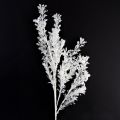 Floristik24 Kunstmatige tak mat decoratieve tak winterdecoratie wit 78cm 2 stuks