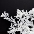 Kunstmatige tak mat decoratieve tak winterdecoratie wit 78cm 2 stuks | Floristik24.nl
