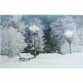 Floristik24 LED afbeelding kerst winterlandschap met parkbank LED muurschildering 58x38cm