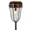 Floristik24 Solar lantaarn om in te pluggen, LED staaflamp Ø13.5cm L58cm H21cm