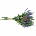 Floristik24 Kruidenbundel lavendel, rozemarijn, distel 40cm