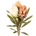 Floristik24 Kunstmatige Protea Leucadendron bloem met lange steel, 65 cm, 3 stuks