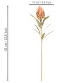 Kunstmatige Protea Leucadendron bloem met lange steel, 65 cm, 3 stuks | Floristik24.nl