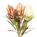Kunstmatige Protea