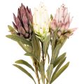 Protea kunstbloem Leucadendron