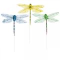 Floristik24 Zomerdecoratie, libellen op draad, decoratieve insecten geel, groen, blauw B10.5cm 6st