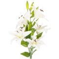 Floristik24 Kunstmatige lelies, 6 witte bloemen, realistische bloeiende tak, 66 cm