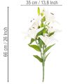 Kunstmatige lelies, 6 witte bloemen, realistische bloeiende tak, 66 cm | Floristik24.nl