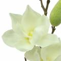 Floristik24 Magnolia Real Touch Wit 70cm