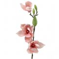 Floristik24 Magnolia kunstlicht roze 70cm