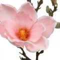 Floristik24 Magnolia Roze Kunstbloem Decoratie Kunstbloem Tak H40cm