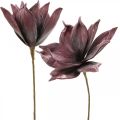 Floristik24 Kunstbloem magnolia paars foam bloem Ø10cm 6st