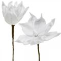 Floristik24 Magnolia kunstbloem wit op een stokje Ø10cm Foam 6st