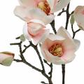 Floristik24 Magnolia tak roze kunstmatige magnolia zijden bloemen