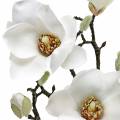Floristik24 Magnoliatak wit Decoratieve tak magnolia kunstbloem