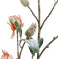 Floristik24 Magnoliatak lichtroze L 82 cm