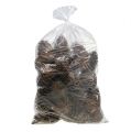 Maritima kegels 14/18 naturel 25 st | Floristik24.nl