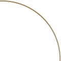 Floristik24 Metalen ring decor ring Scandi ring deco lus goud Ø30.5cm 6st