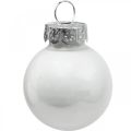 Floristik24 Mini kerstballen glas wit glans/mat Ø2.5cm 24st