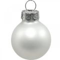 Floristik24 Mini kerstballen glas wit glans/mat Ø2.5cm 24st
