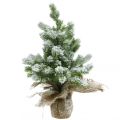 Floristik24 Mini kerstboom in een zak besneeuwd Ø25cm H42cm