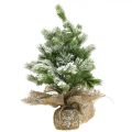 Floristik24 Mini kerstboom in een zak besneeuwd Ø25cm H42cm