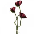 Floristik24 Kunst klaproos kunstplant rood L55/60/70cm set van 3