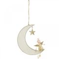 Floristik24 Adventsdecoratie, engel op maan, houten decoratie om op te hangen wit, goud H14.5cm B21.5cm 3st