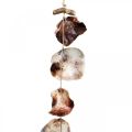 Schelpenslinger Maritieme decoratie schelpenslinger 150cm