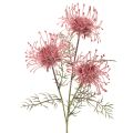 Floristik24 Kunstbloemen speldenkussen protea bloeiende tak 65cm 3 stuks